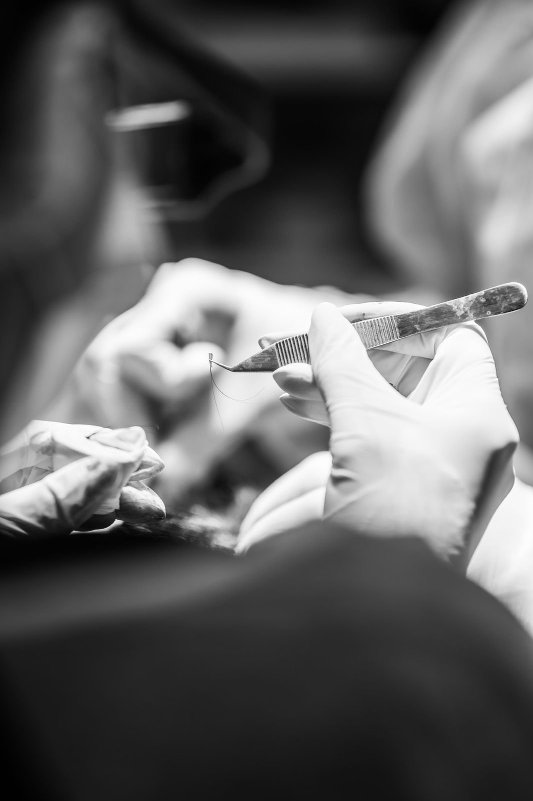 WhatsApp Image 2026-03-04 at 18.15.09 (3)